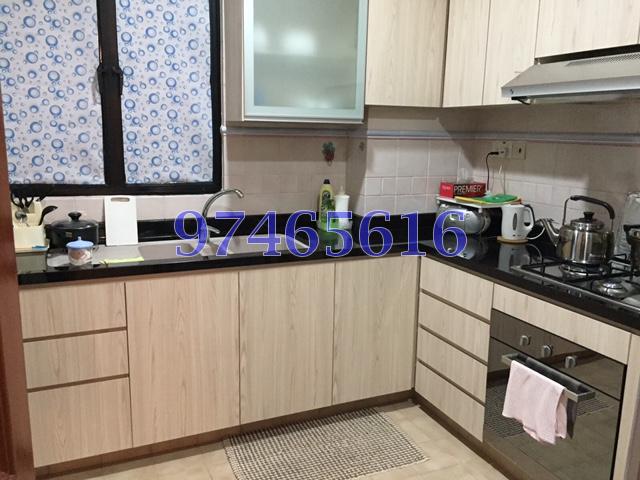 Dover Parkview (D5), Condominium #86009932